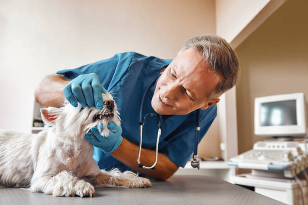 Best Urgent Care for Lost Fillings or Crowns in Huntington Station, NY